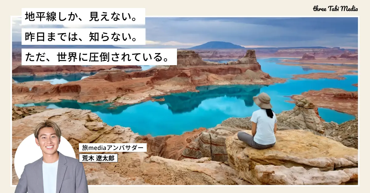 活用例